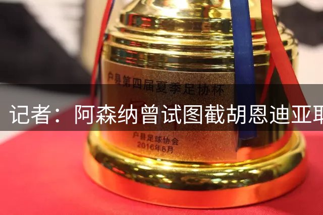 记者：阿森纳曾试图截胡恩迪亚耶，失败后转攻马利克-福法纳